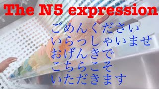 N5 expression ごめんください。いらっしゃいませ。ごめんなさい。おげんきで。おはようございます