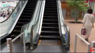 【フジテック】3X エスカレーター ニトリモール枚方 3X escalator Nitori Mall Hirakata shopping mall Osaka Japan