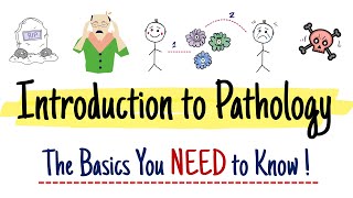 Introduction to Pathology: the basics you need to know!