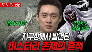 (70분) 장산범, 그는 실제로 존재했다💥 지구에 등장한 낯선 생명체의 흔적 모음집.zipㄷㄷ | 프리한19