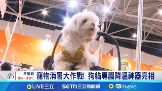 寵物消暑大作戰! 狗貓專屬降溫神器亮相 寵物消暑撇步! 獸醫師提醒補水不可少│記者 心慈 高貫軒│萌寵54來當家20250704│三立新聞台