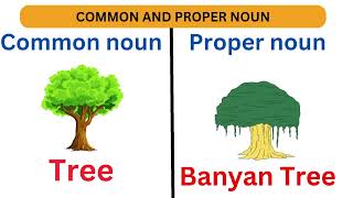 common nouns and proper nouns|Common noun and proper noun Examples.