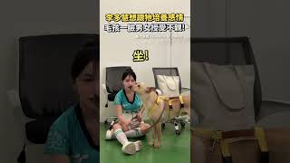 李多慧想跟牠培養感情 毛孩一臉男女授受不親！ #李多慧 #shorts #毛孩 #狗  #男女 #互動 #犬