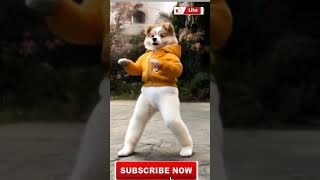 #ComedyShorts#FunnyReels#ViralComedy#ComedyVideo#ReelComedy#FunnyViral#ShortsComedy# trendingshots