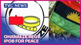 Newspaper Review | Ohanaeze begs IPOB for Peace as FG insists on Anambra Election