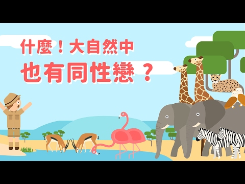 什麼 ! 大自然中也有同性戀 ? ( 可以開字幕噢 ! )