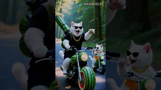 😭 The cat and pcor dogues🏍️Cat Life Cartoon Video 😇#cat #ai #cute #shorts #shortvideo #youtubeshorts