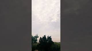 Romantic Weather | Lovely Weather  || TAI's MoM #shorts #love