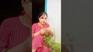 #comedyvideo #funnyvideo #reelcomedy 🤣🤣🤣🤣🤣🤣🤪✅