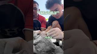 Cacing hati sapi qurban 😱😱 #dimasdincup