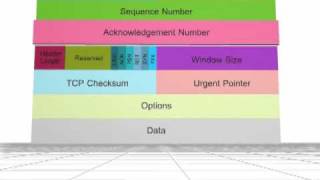 TCP Header
