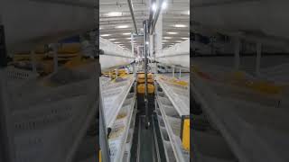 Fully automated delivery warehouse. #automation line #auto #robot