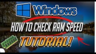 How to Check RAM Speed in Windows 10/8/7