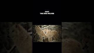 Meet The Dire Wolves