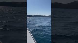 Trip to Skote outdoors off the grid island part 3 #likeandsubscribe #fypyoutube #boating #fyp