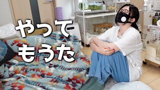 多頭飼育者の1ヵ月の飼育費用がこちらです