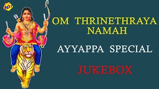 Swamy Sharanam Ayyappa Special Songs | Sharanu Sharanu | Ayyappa Swamy Juke Box | TVNXT Devotional