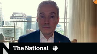 Should the government diversify Canada's telecom market?