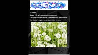 How to Identify Grass in a Wheat Field (Class-8) Crop production and management "Chapter-1"