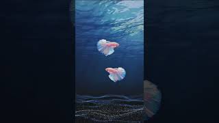 Beautiful 😍 fish | #whatsappdp #dp #shorts