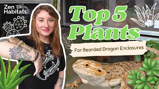 The 5 BEST Plants for Bearded Dragon Enclosures