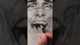 ANATOMY DRAWING: STARTING FROM THE SKULL#anatomy #art #sketch