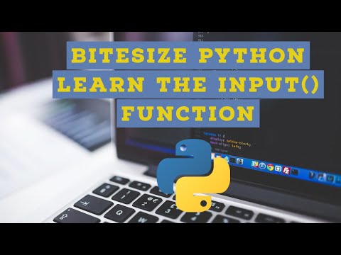 Python Input Function - Bitesize Python Learning