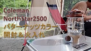 コールマンのガスランタンに火入れするだけ