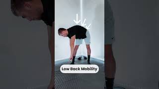 Boost Your Mobility with This Simple PVC Drill 👉