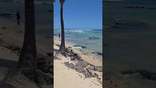 Mauritius 🇲🇺  Most Beautiful Place in the World #foryou #travel #beach #turtle #mauritius #dlaciebie