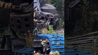 Forestry Machine: Tree Cutting & Stacking