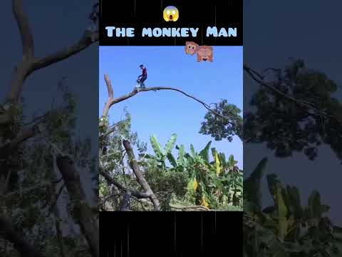 😱Don't Miss end Subscribe 😭 plz