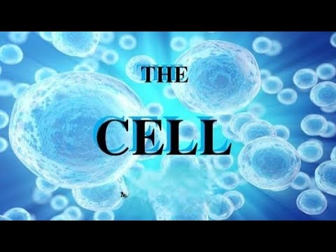 Basic overview of cell structure #swetateacher #cambridge