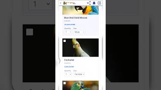 Online buy any parrot best app 2023 || New app #shorts