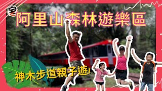 《嘉義阿里山森林遊樂區親子旅遊》漫步在迷霧森林之我們看到雲海啦！｜我們不宅家Alfresco Fam
