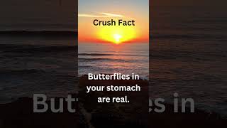 Crush Facts 🥰 #crushfacts  #crushonyou  #crushvideos  #flirtyfacts   #crushinreallife  #lovefacts101