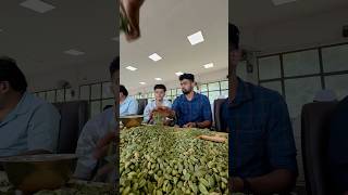 Cardamom auction live 🎖️#cardamom #auction #kerala #job #life #maharashtra #education #idukki