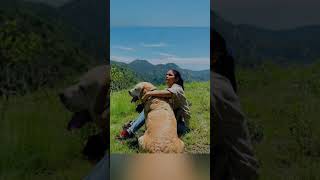 #Lavanya Tripathi baby bump photo leaked #varun in angery...#babybump#angery varun