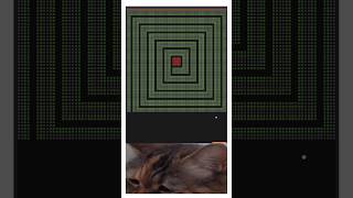 Hardest Level! #chipichipichapachapa #cat #meowcat