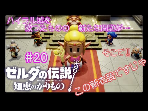 光の力、お借りします！【ゼルダの伝説 知恵のかりもの】#19