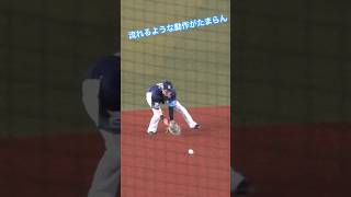 【2024シーズン】 プロの流れの技 #seibulions #源田壮亮 #源田たまらん #ショート #埼玉西武ライオンズ #プロ野球 #NPB