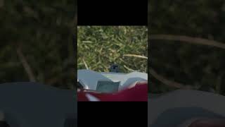 New FPV Videos Incoming ! Fatshark Recon HD, DarwinFPV Tiny Ape, & Little Wonder FPV