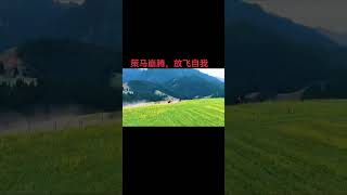 #旅行推荐官 #野骑