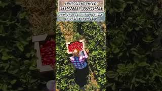 Low Fees Agriculture Course Colleges In Tamilnadu #agriculturecollage #topcollege#lowfees #agri
