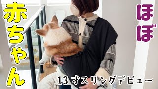 ひょんなことからスリングデビューすることになりました