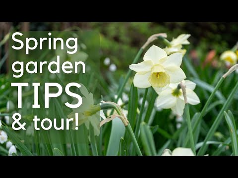 The best thing to do for your garden now...spring garden tips and tour