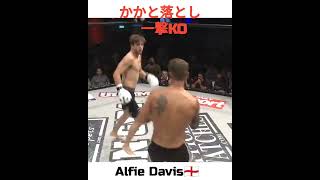 【かかと落とし一撃KO】衝撃!!! Alfie Davis🏴󠁧󠁢󠁥󠁮󠁧󠁿アルフィ #K1 #格闘技 #RIZIN