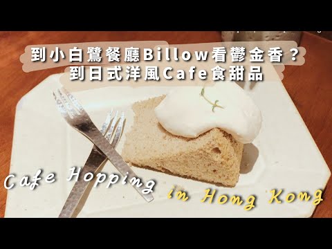 【香港Vlog】家中來了新成員🐱 / 到大埔小白鷺餐廳Billow看鬱金香？/ 到日式洋風Cafe食甜品｜ Helen's Whisper