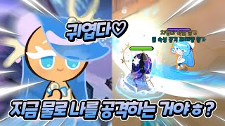 바다요정 쿠키🌊 vs 크림소다맛 쿠키🍸
