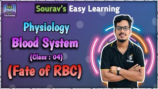 Fate of RBC | Blood System (Class: 04) | Physiology 1st year(Bangla)